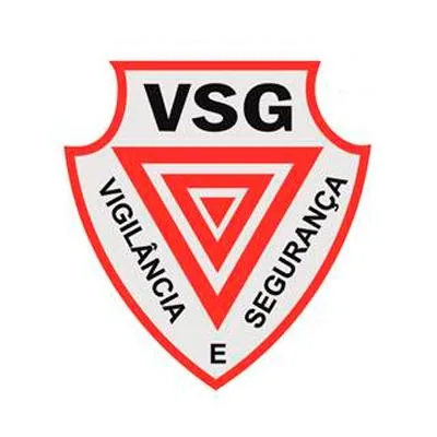 logo Grupo VSG