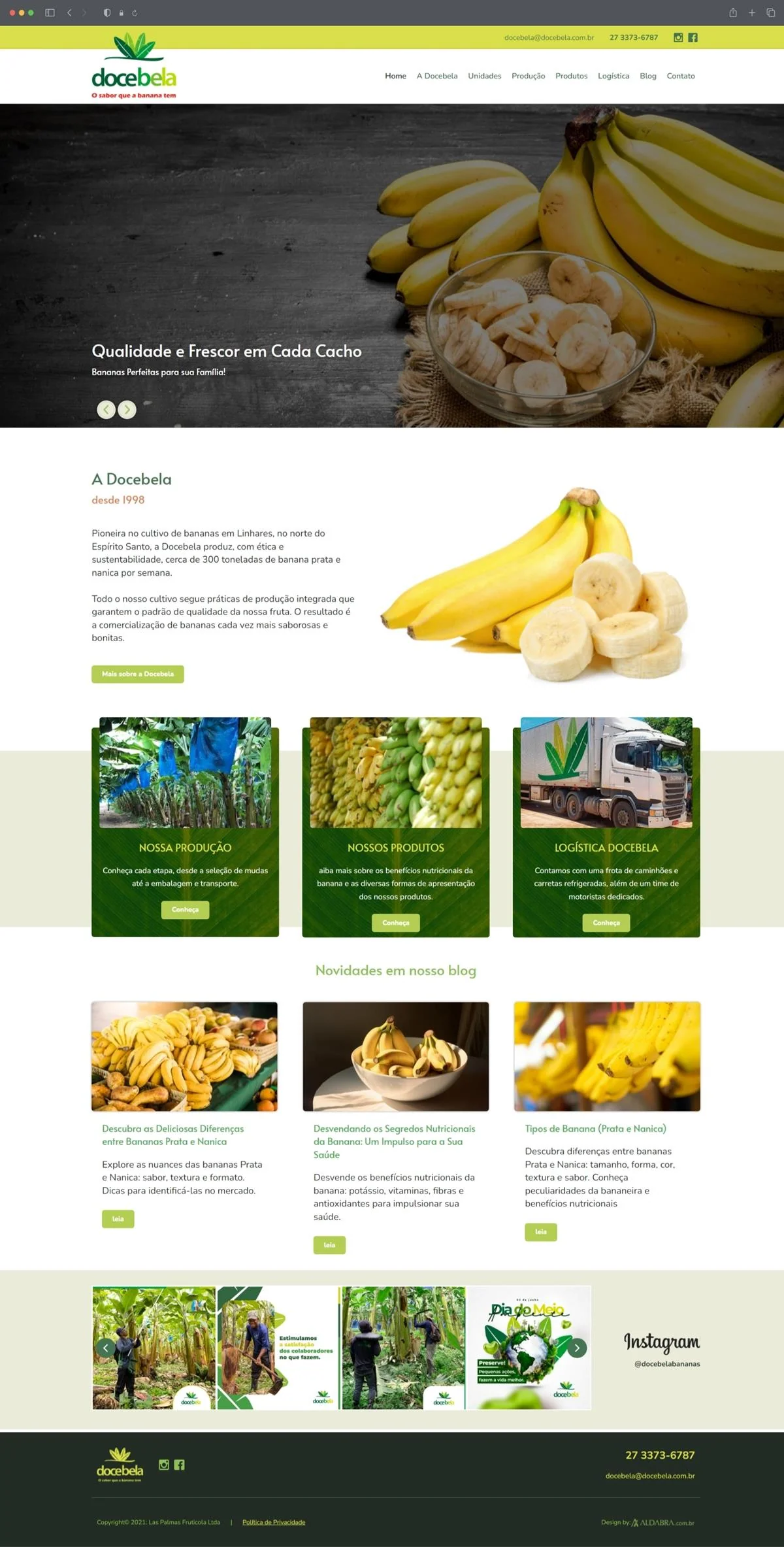 Projetos de Criar site: Layout da página inicial do site criado para a Docebela